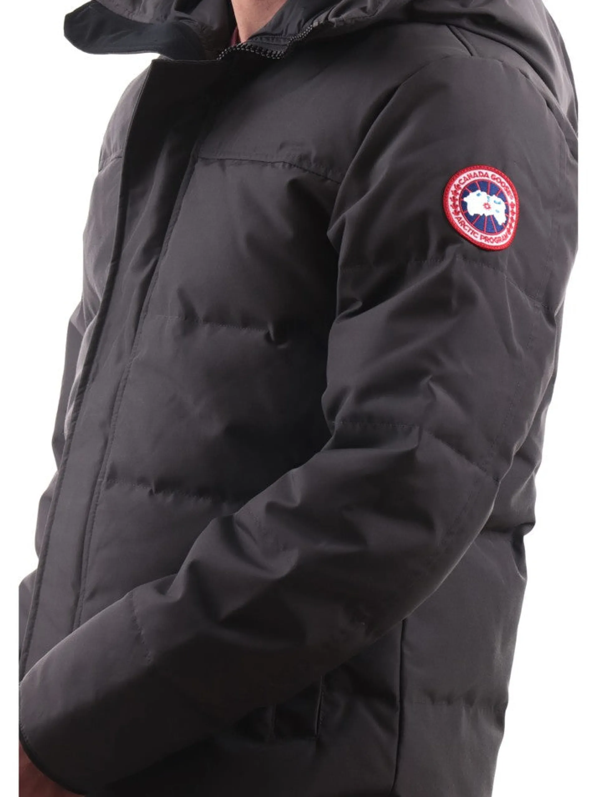 CANADA GOOSE Giubbotti*Giacca uomo Macmillan Parka Reset Grigia da Uomo 2080M66